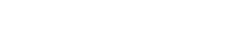 Stasi Nous